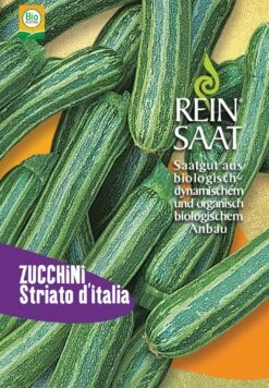 Zucchini Striato D'Italia, Grün, Gestreift, Länglich | BIO Zucchinisamen Von Reinsaat