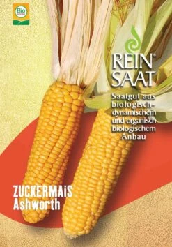 Zuckermais Ashworth | BIO Maissamen Von Reinsaat