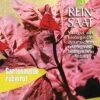 Gartenmelde Rubinrot | BIO Spinatsamen Von Reinsaat