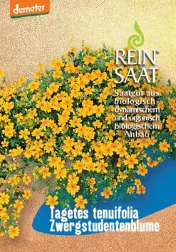 Zwergstudentenblume | BIO Studentenblumensamen Von Reinsaat