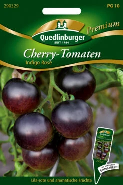 CherryTomate Indigo Rose | Kirschtomatensamen Von Quedlinburger