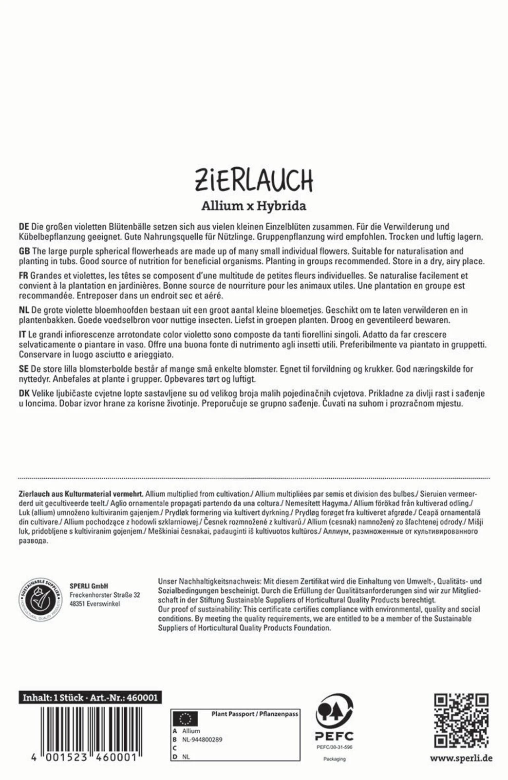 Zierlauch Dutchman (1 Stück) | Zierlauchzwiebeln Von Sperli – Bild 2