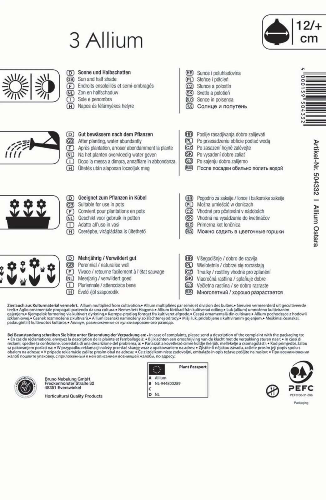 Zierlauch Ostara (3 Stück) | Alliumzwiebeln Von Kiepenkerl