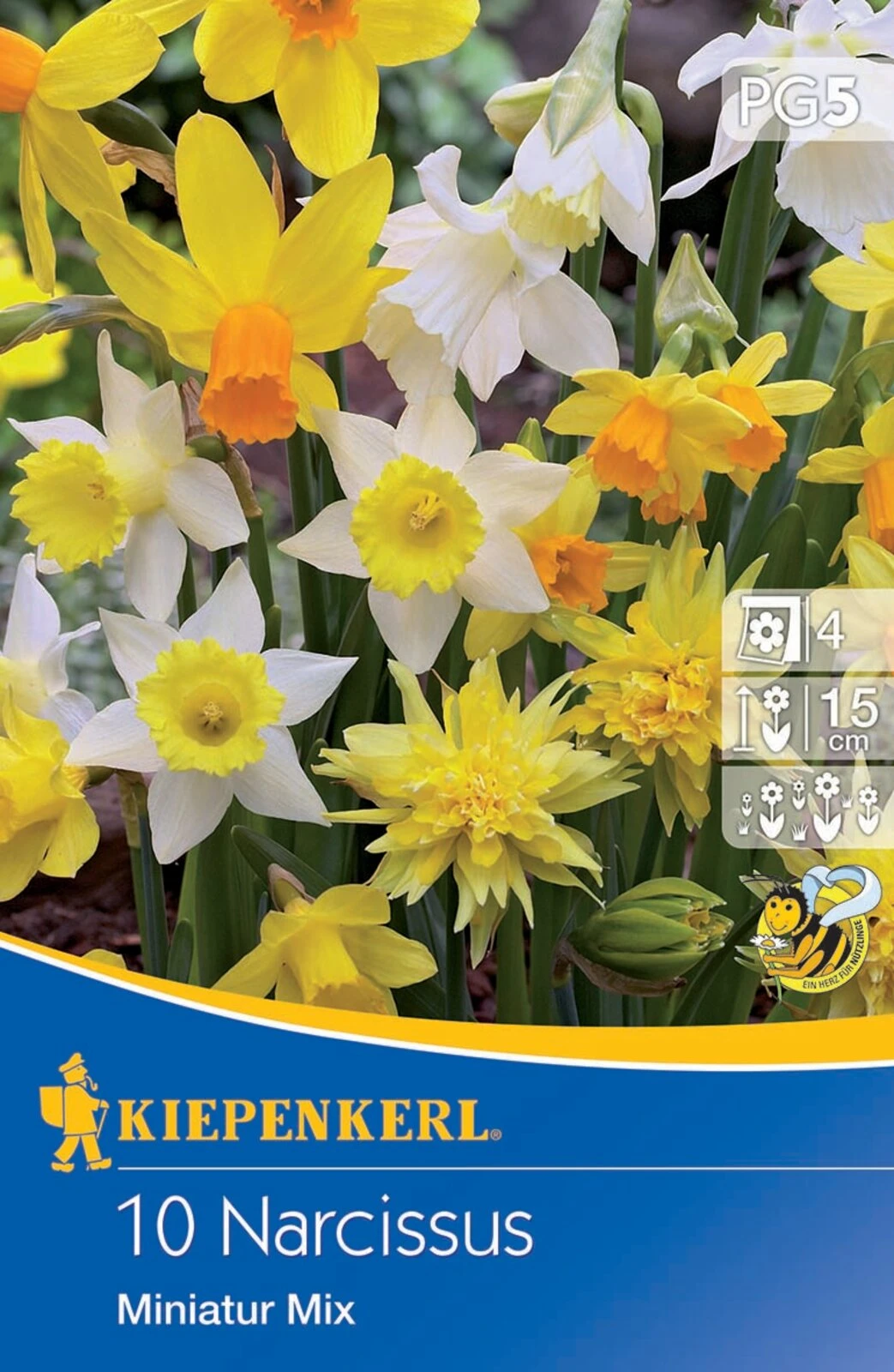 Narzisse Miniatur-Mischung (10 Stück) | Narzissenzwiebeln Von Kiepenkerl – Bild 2