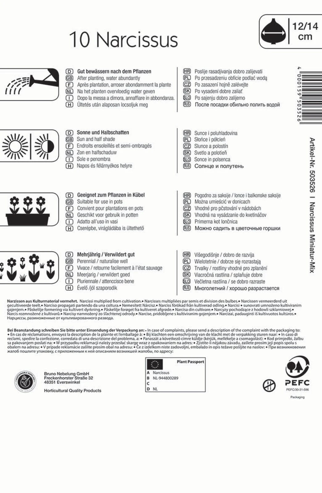 Narzisse Miniatur-Mischung (10 Stück) | Narzissenzwiebeln Von Kiepenkerl