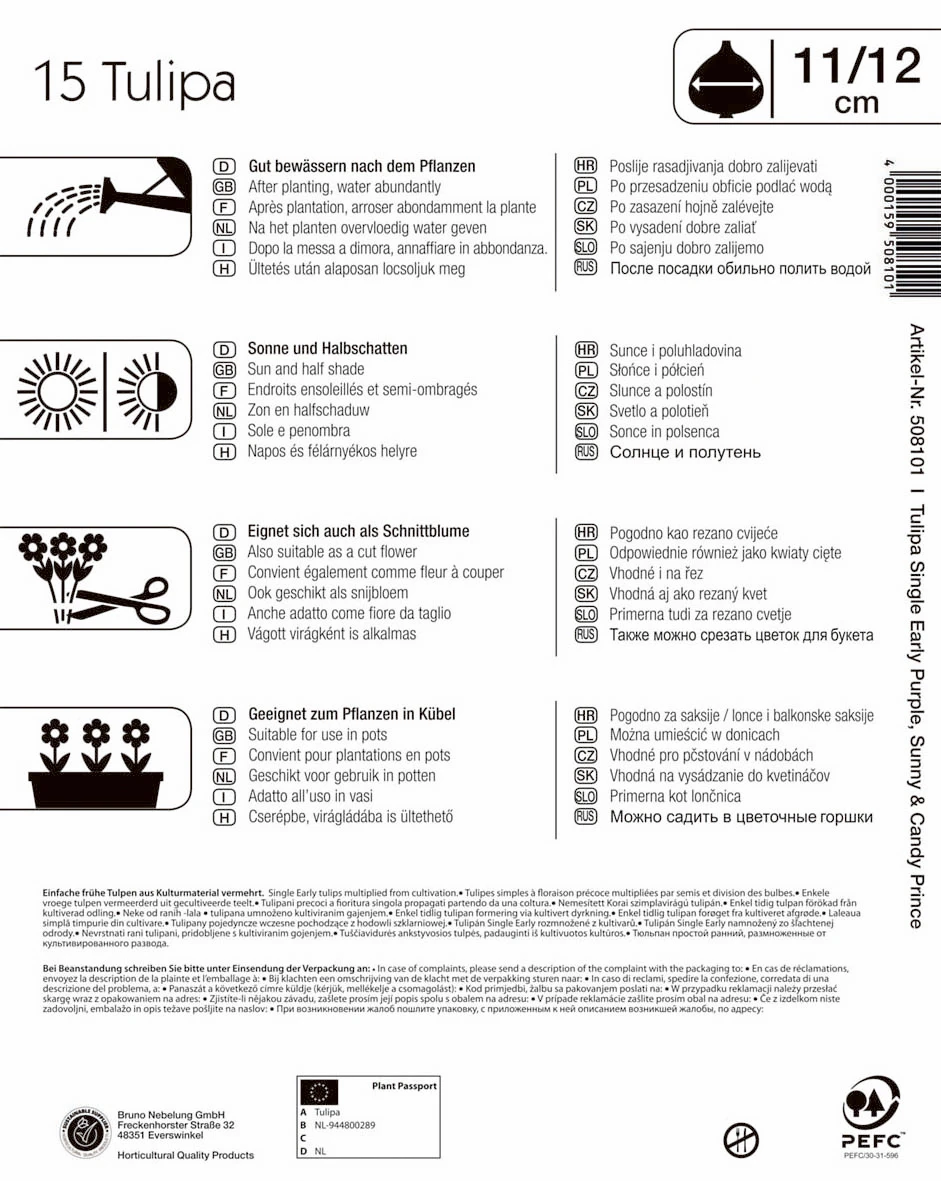 Mega-Pack Einfache Frühe Tulpe Princen Mischung (15 Stück) | Tulpenzwiebeln Von Kiepenkerl – Bild 2