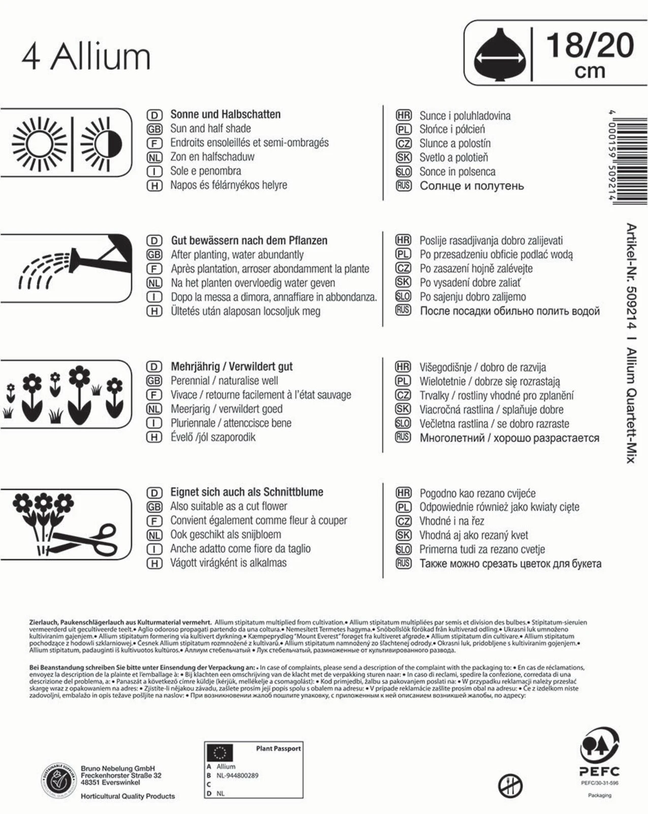 Mega-Pack Zierlauch Großblumige Mischung (4 Stück) | Alliumzwiebeln Von Kiepenkerl – Bild 2