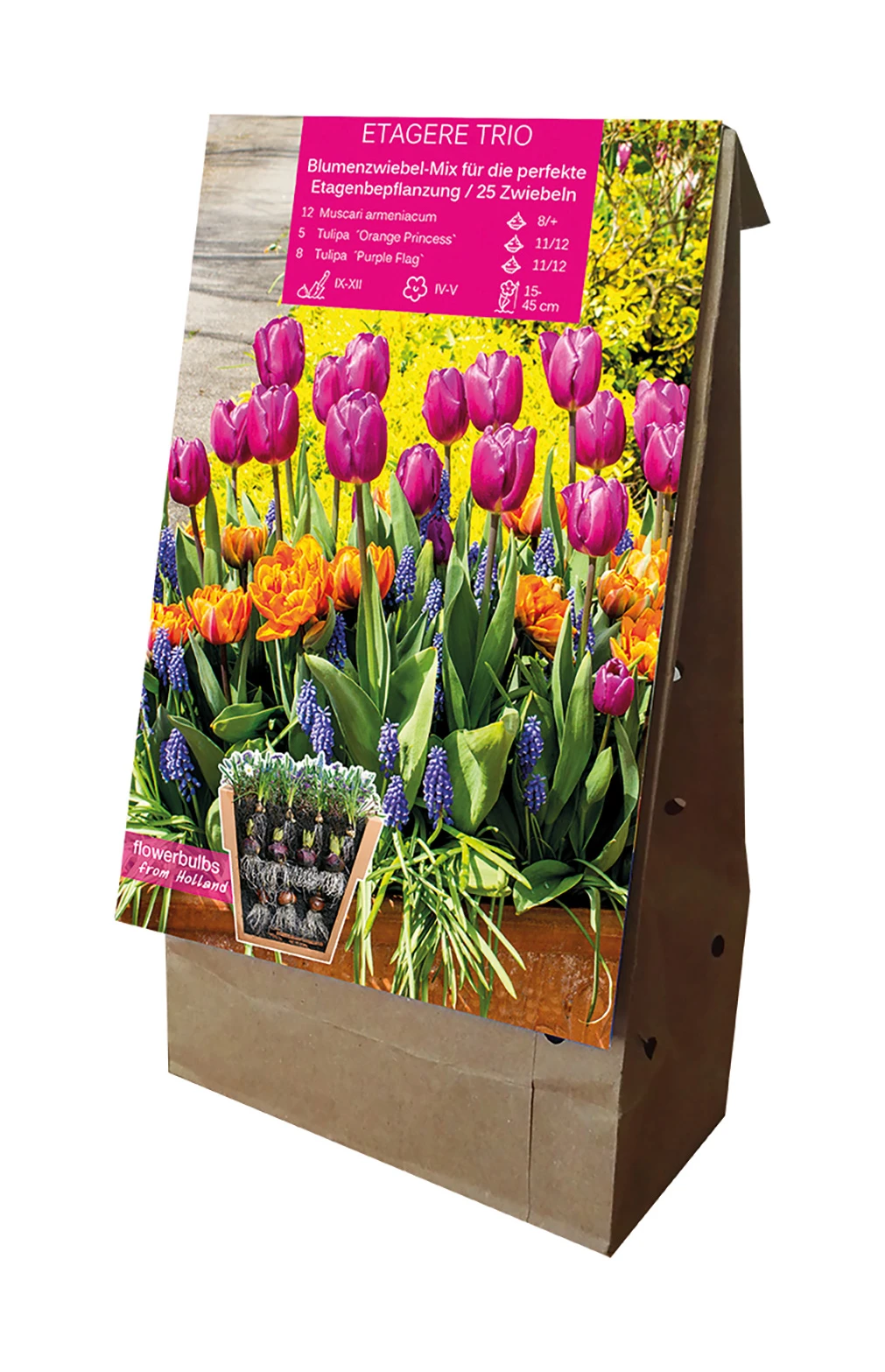 Etagere Trio (25 Stück) | Blumenzwiebelmischungen Von Young Generation – Bild 2