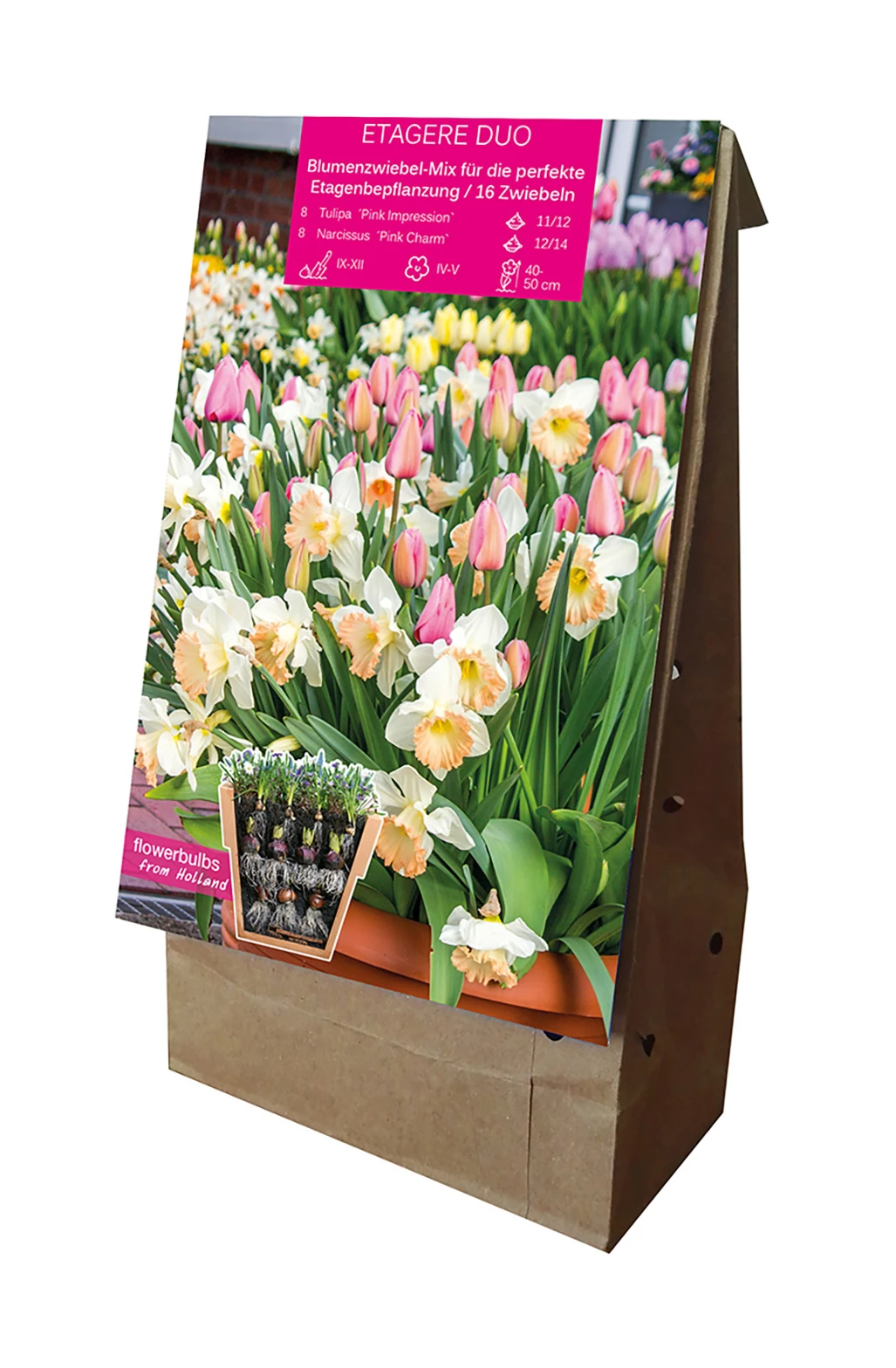 Etagere Duo (16 Stück) | Blumenzwiebelmischungen Von Young Generation – Bild 2