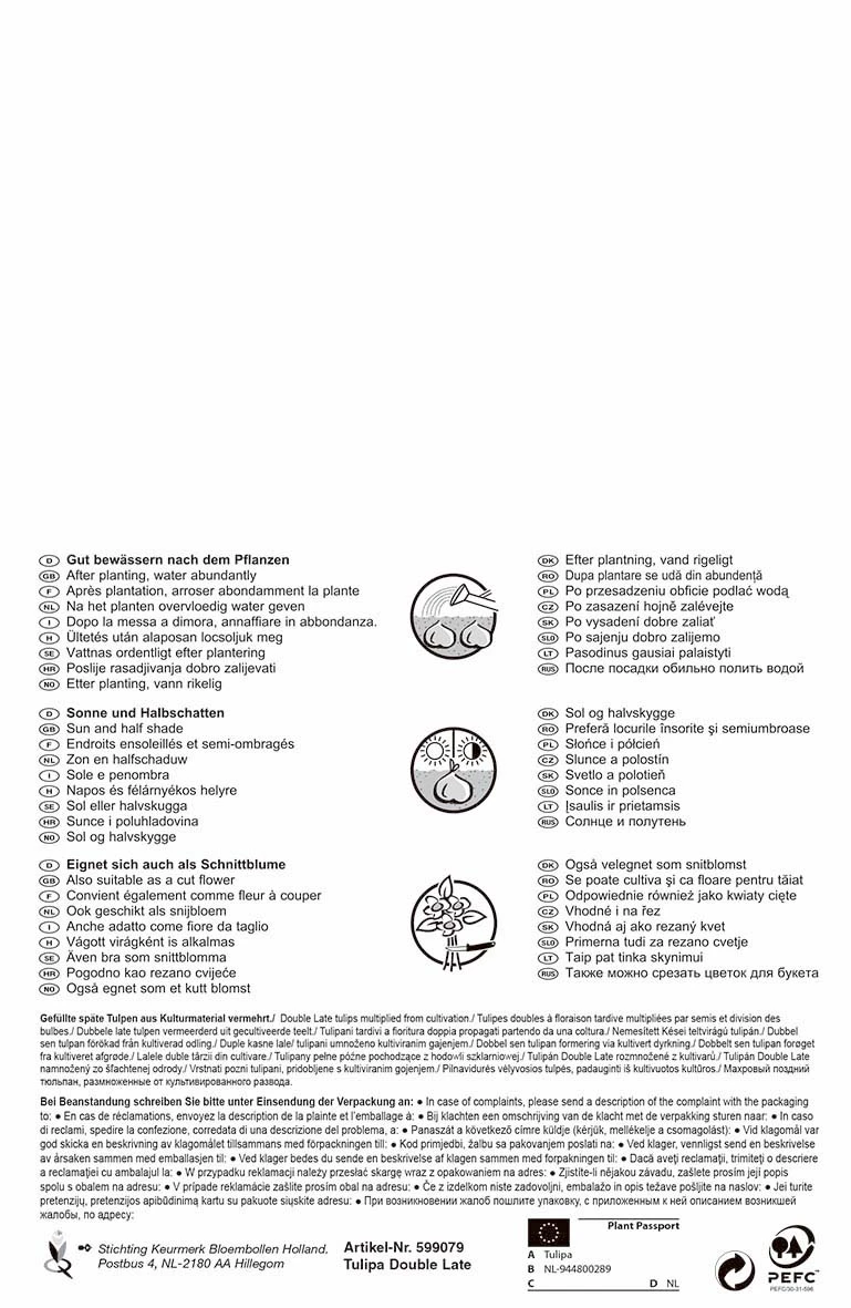 Tulpe Carnaval De Nice & Blue Diamond (10 Stück) | Tulpenzwiebeln Von Pegasus – Bild 2