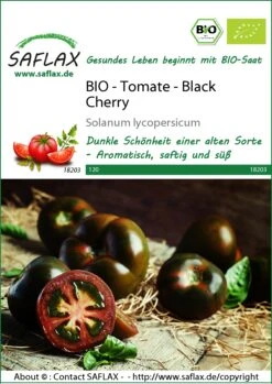 Tomate Black Cherry | BIO Tomatensamen Von Saflax