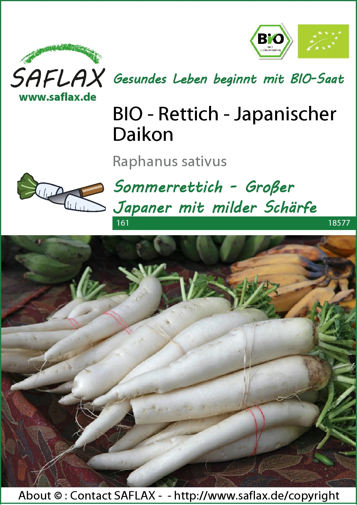 Rettich Japanischer Daikon | BIO Rettichsamen Von Saflax
