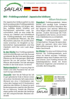 Frühlingszwiebel Japanische Ishikura | BIO Zwiebelsamen Von Saflax