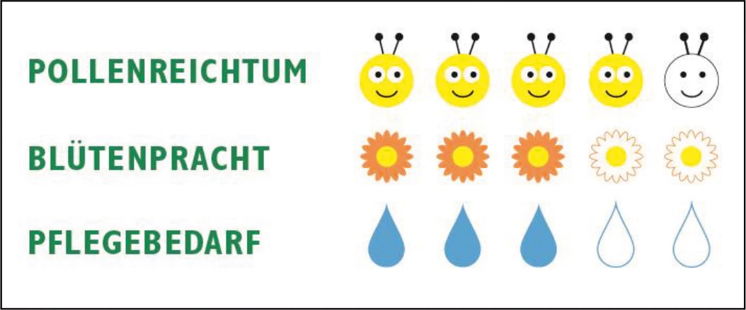 Heimische Bienenweide (100 G) | Bienenwiese Von Samen Pfann – Bild 2