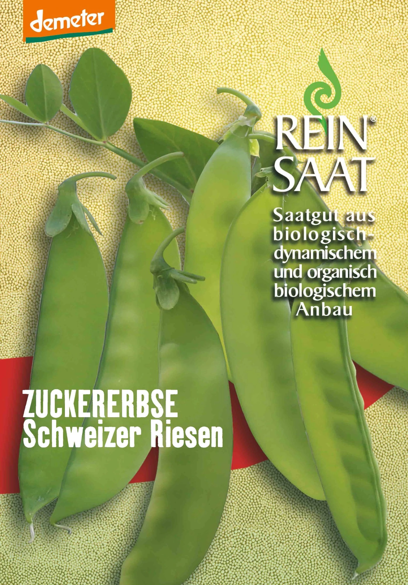 Zuckererbse Schweizer Riesen | BIO Zuckererbsensamen Von Reinsaat