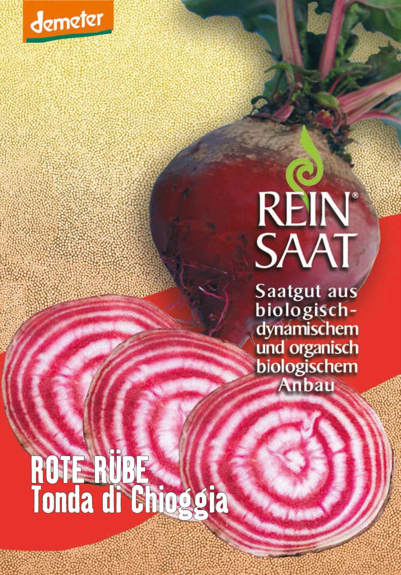 Rote Rübe Tonda Di Chioggia | BIO Rote Beetesamen Von Reinsaat