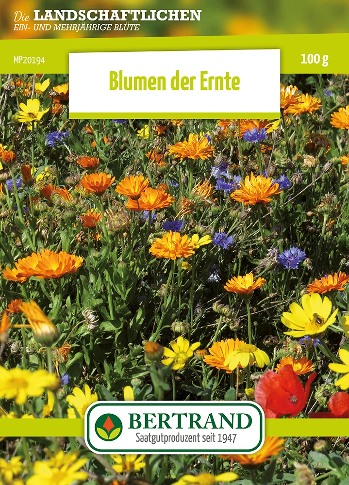 Blumenwiese Ackerwildkräutern (100 G) | Blumensamen Von Bertrand