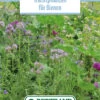 Blumenwiese Honigblumenwiese OFA Mehrjährig (100 G) | Blumensamen Von Bertrand