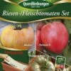 Riesen-/ Fleischtomaten Set (Saatplatte) | Tomatensamen Von Quedlinburger