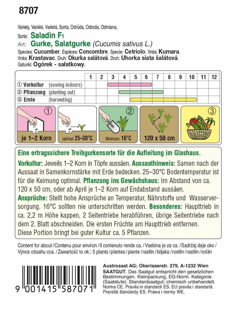 Salatgurke Saladin F1 | Glashausgurkensamen Von Austrosaat