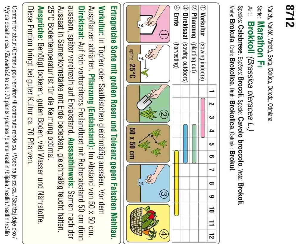 Brokkoli Marathon F1 | Brokkolisamen Von Austrosaat – Bild 2