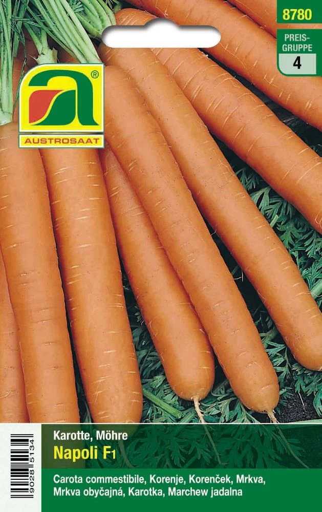 Karotte Napoli F1 | Karottensamen Von Austrosaat – Bild 2