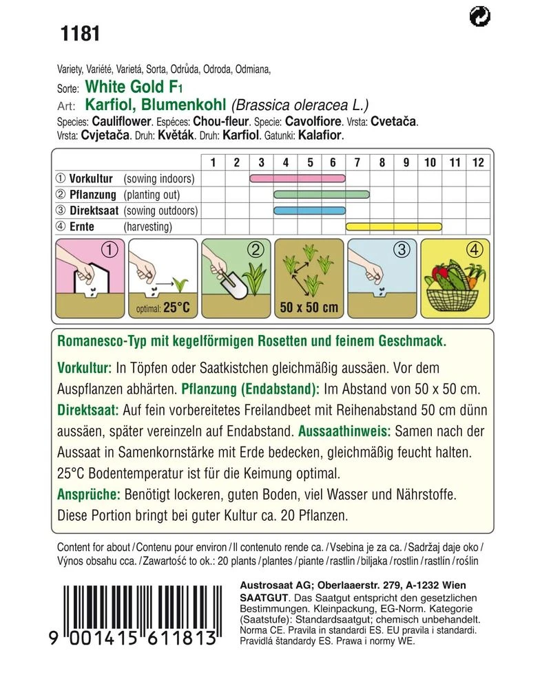 Karfiol White Gold F1 (Romanesco) | Romanescosamen Von Austrosaat – Bild 2