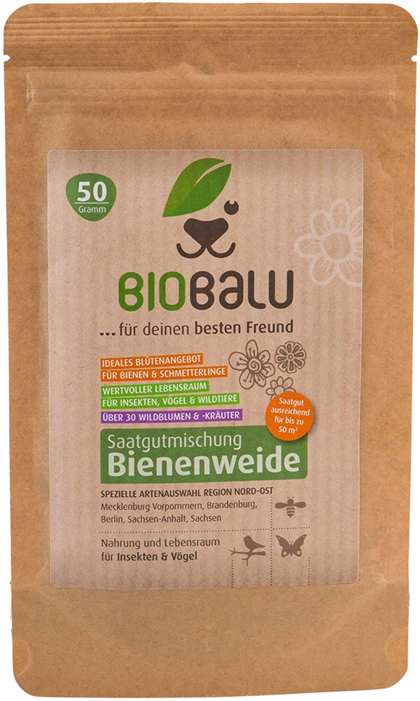 Bienenweide Region Nord-Ost (mehrjährig, 50 G) | Bienenwiese Von Biobalu – Bild 3