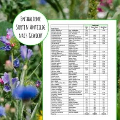 Bienenweide Region Nord-Ost (mehrjährig, 50 G) | Bienenwiese Von Biobalu