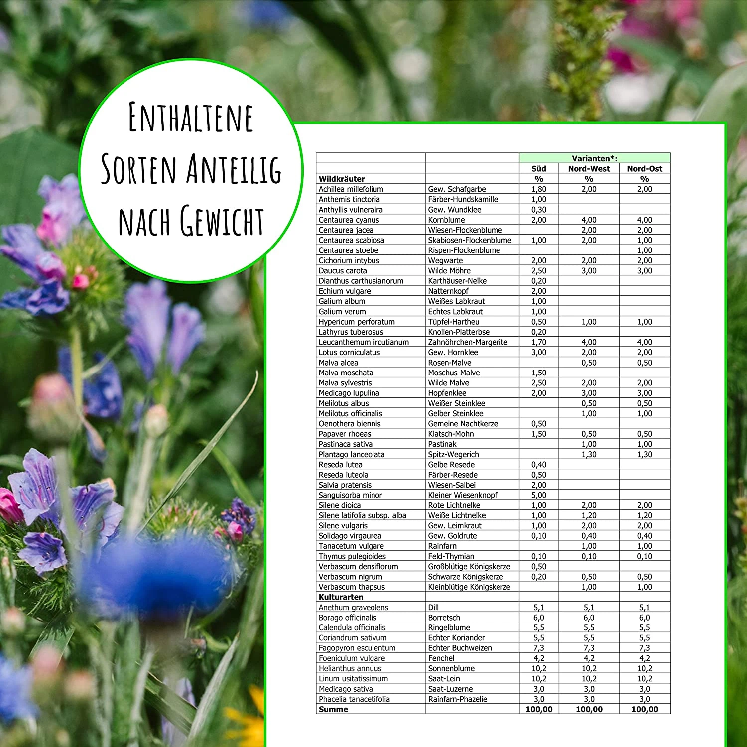 Bienenweide Region Nord-Ost (mehrjährig, 50 G) | Bienenwiese Von Biobalu