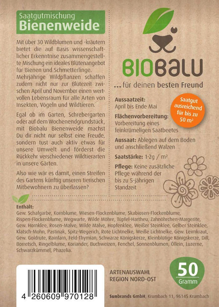 Bienenweide Region Nord-Ost (mehrjährig, 50 G) | Bienenwiese Von Biobalu – Bild 2