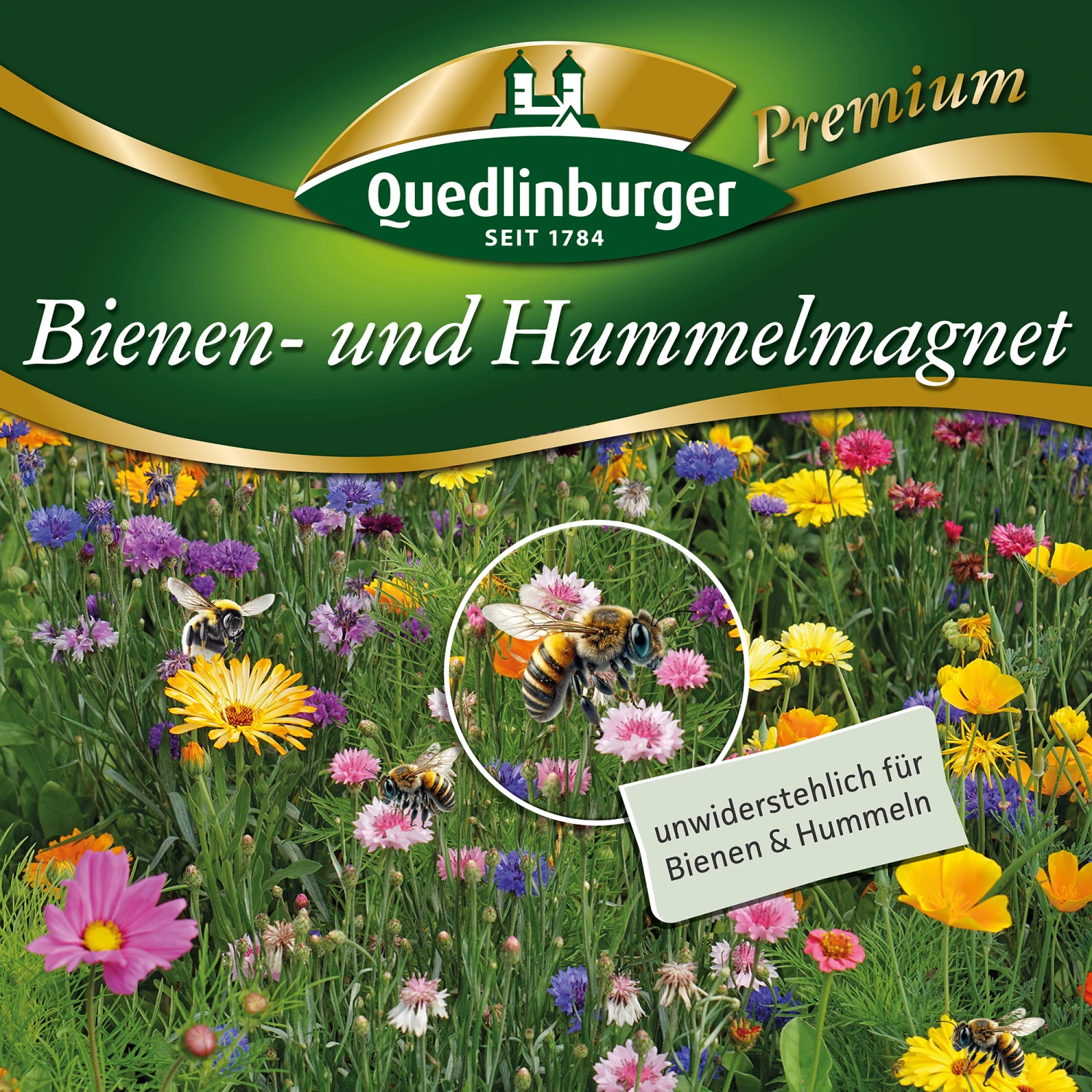 Bienen- Und Hummelmagnet (500 G) | Bienenwiese Von Quedlinburger – Bild 3