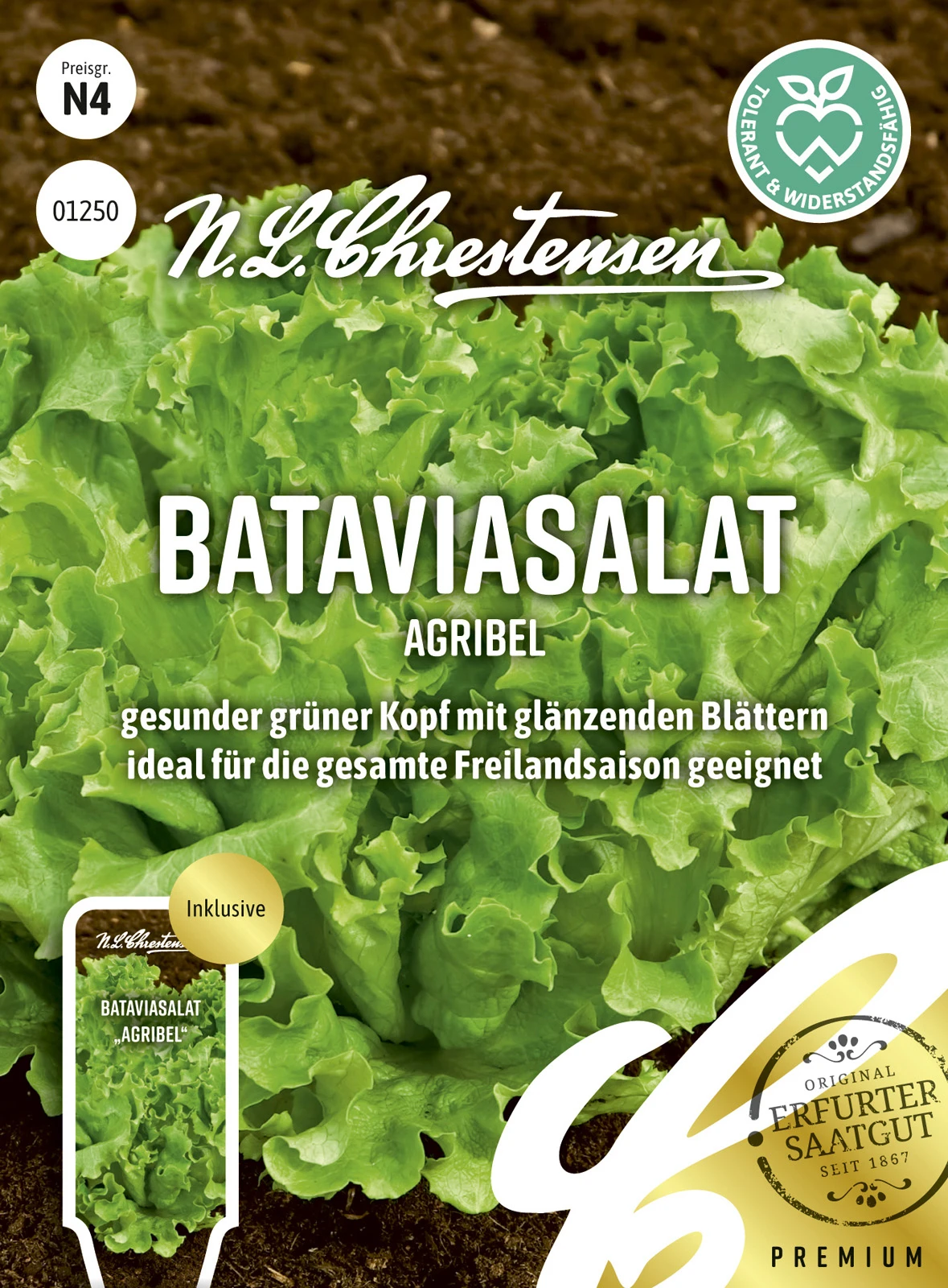 Bataviasalat Agribel | Salatsamen Von N.L. Chrestensen – Bild 2
