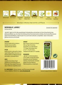 Bataviasalat Agribel | Salatsamen Von N.L. Chrestensen