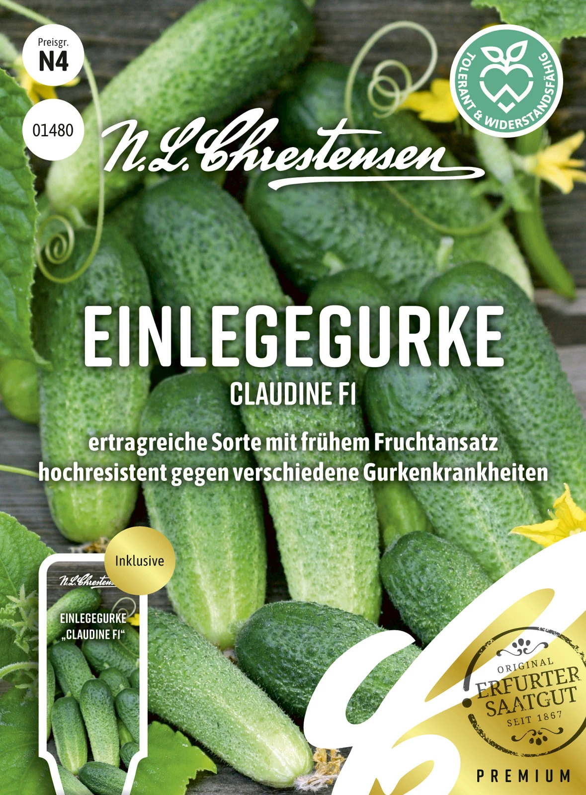 Einlegegurke Claudine F1 | Einlegegurkensamen Von N.L. Chrestensen