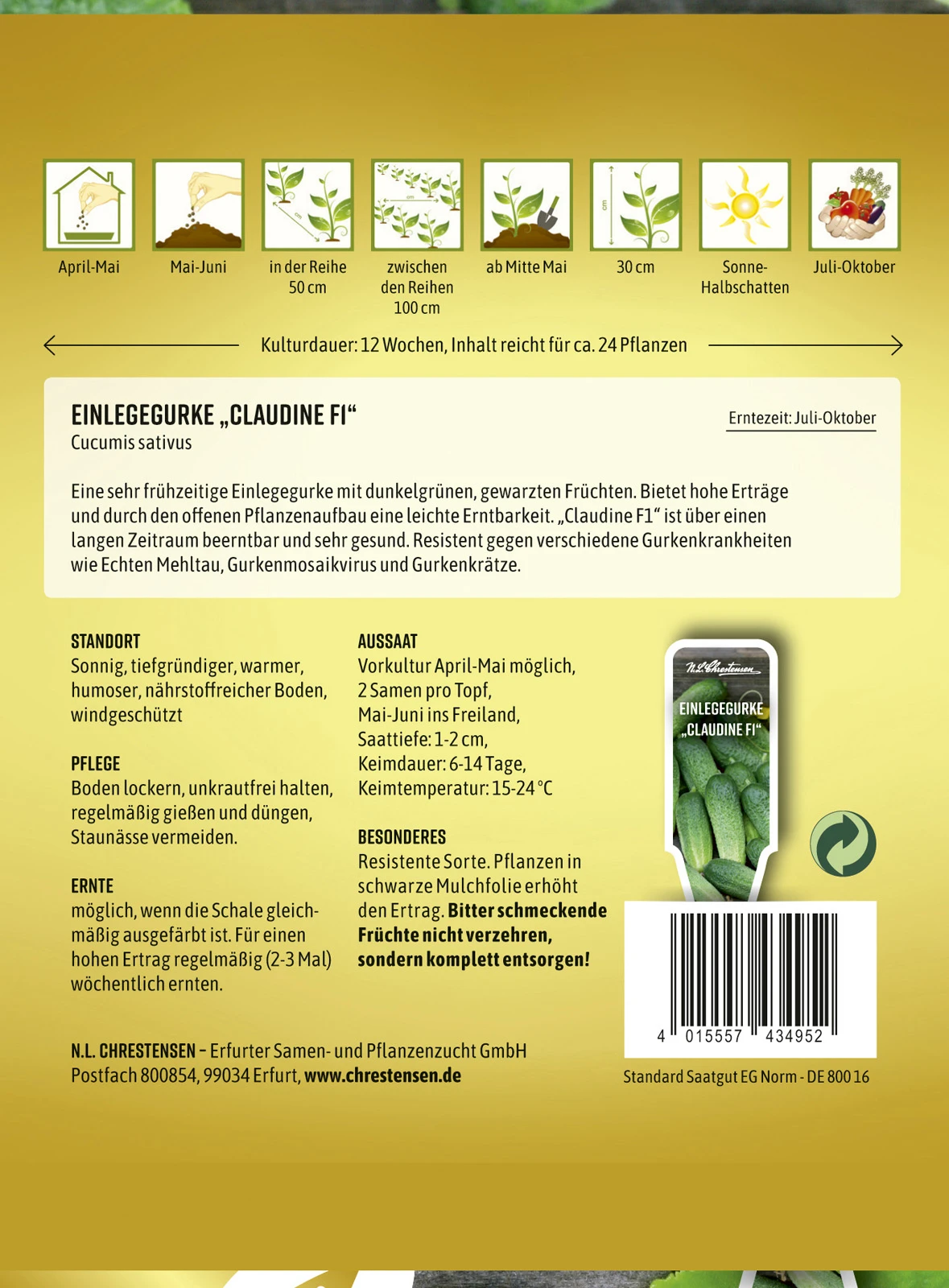 Einlegegurke Claudine F1 | Einlegegurkensamen Von N.L. Chrestensen – Bild 2