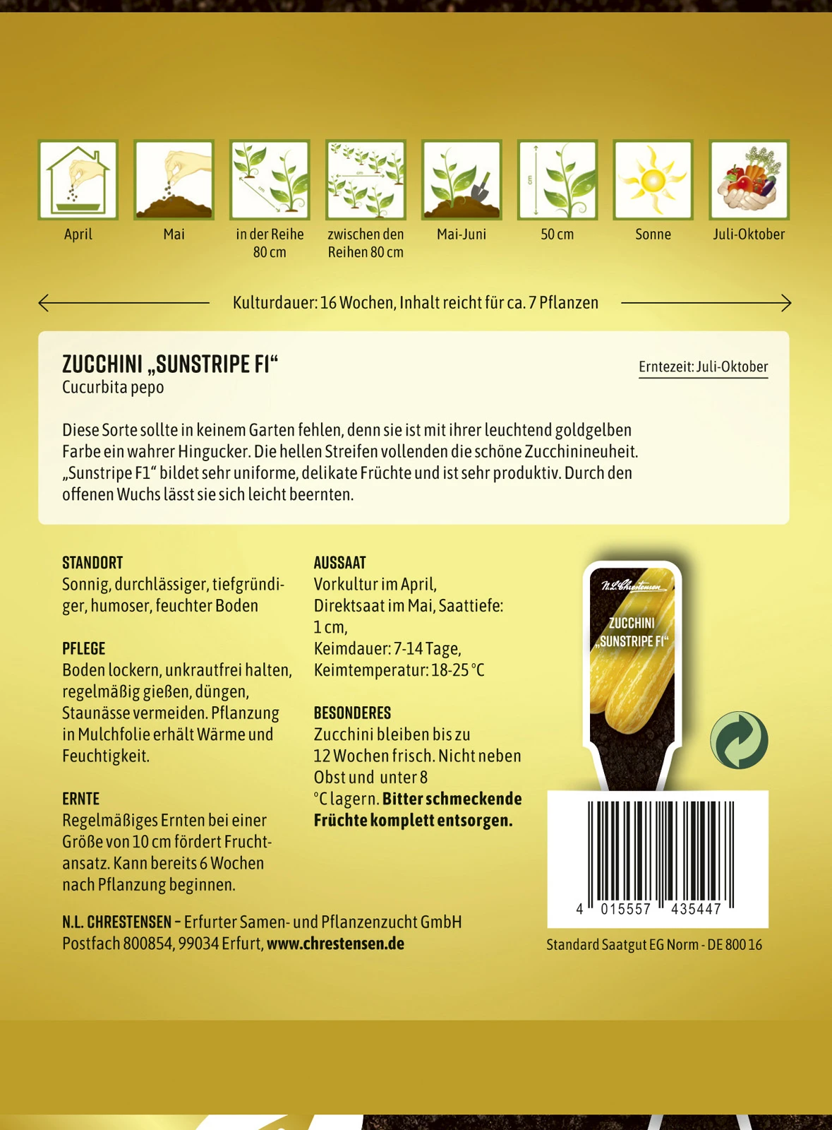 Zucchini Sunstripe F1 | Zucchinisamen Von N.L. Chrestensen – Bild 2