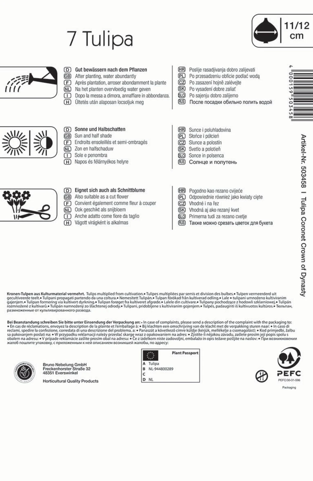 Kronentulpe Crown Of Dynasty (7 Stück) | Tulpenzwiebeln Von Kiepenkerl – Bild 2