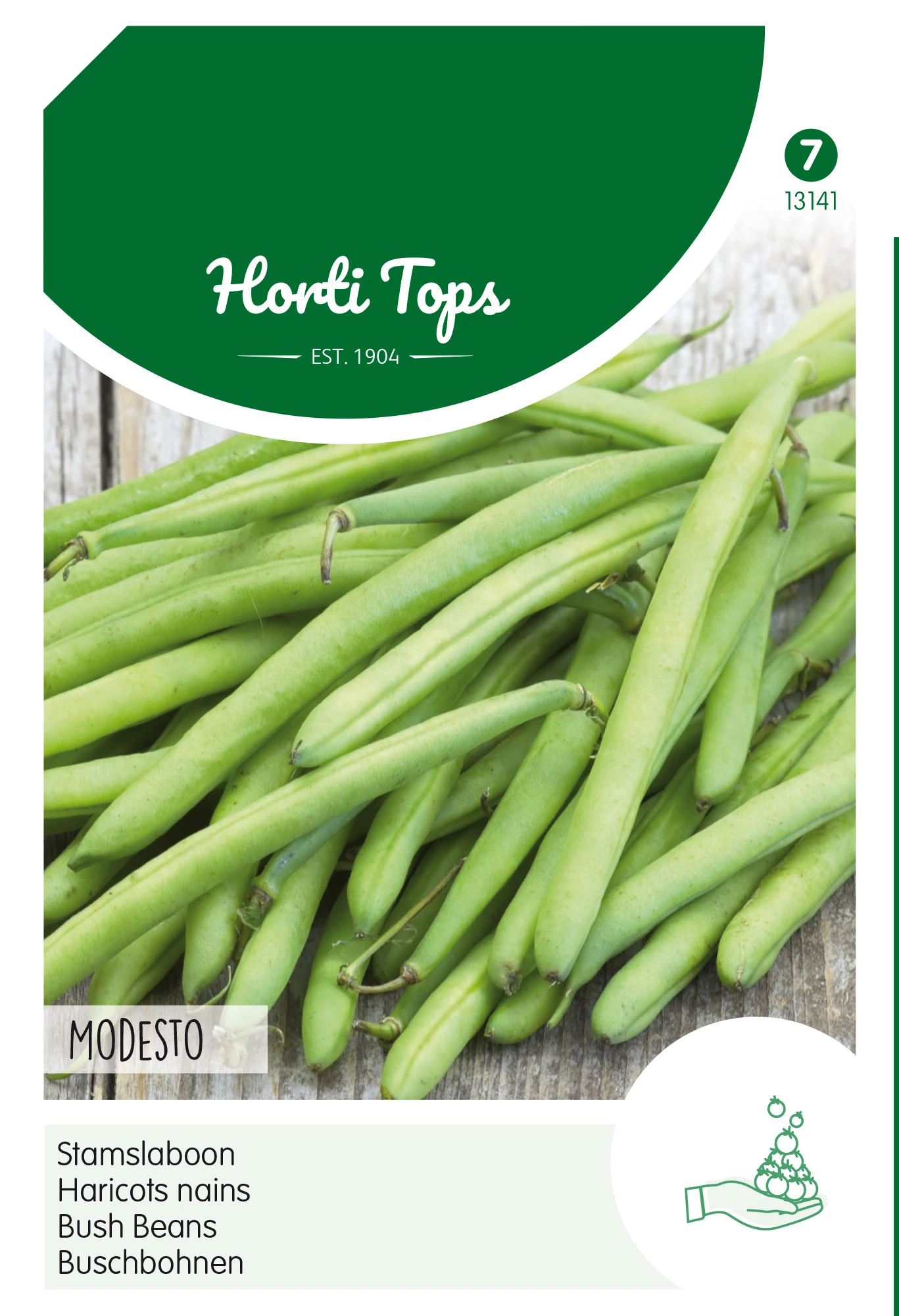 Buschbohnen Montano (100 G) | Buschbohnensamen Von Hortitops – Bild 2
