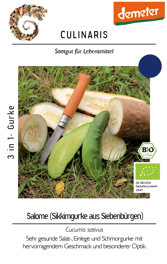 Gurke Sikkimgurke Aus Siebenbürgen | BIO Salatgurkensamen Von Culinaris
