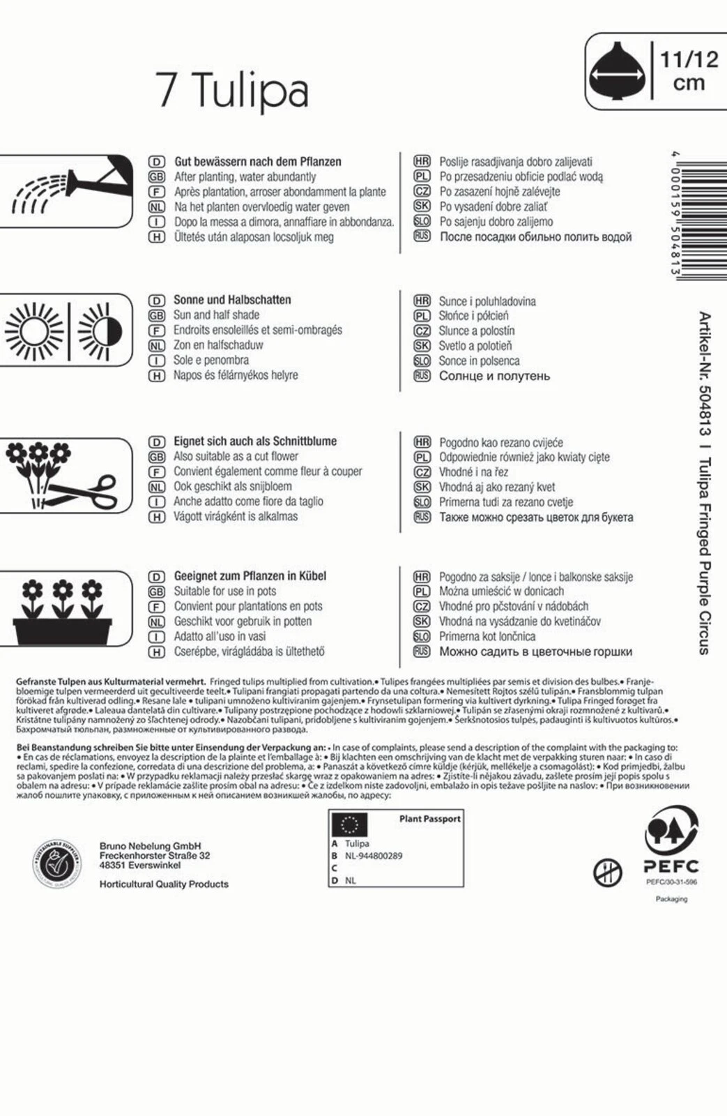 Gefranste Tulpe Purple Circus (7 Stück) | Tulpenzwiebeln Von Kiepenkerl