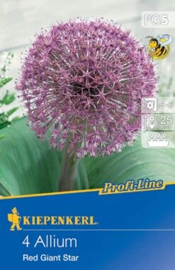 Zierlauch Red Giant Star (4 Stück) | Alliumzwiebeln Von Kiepenkerl