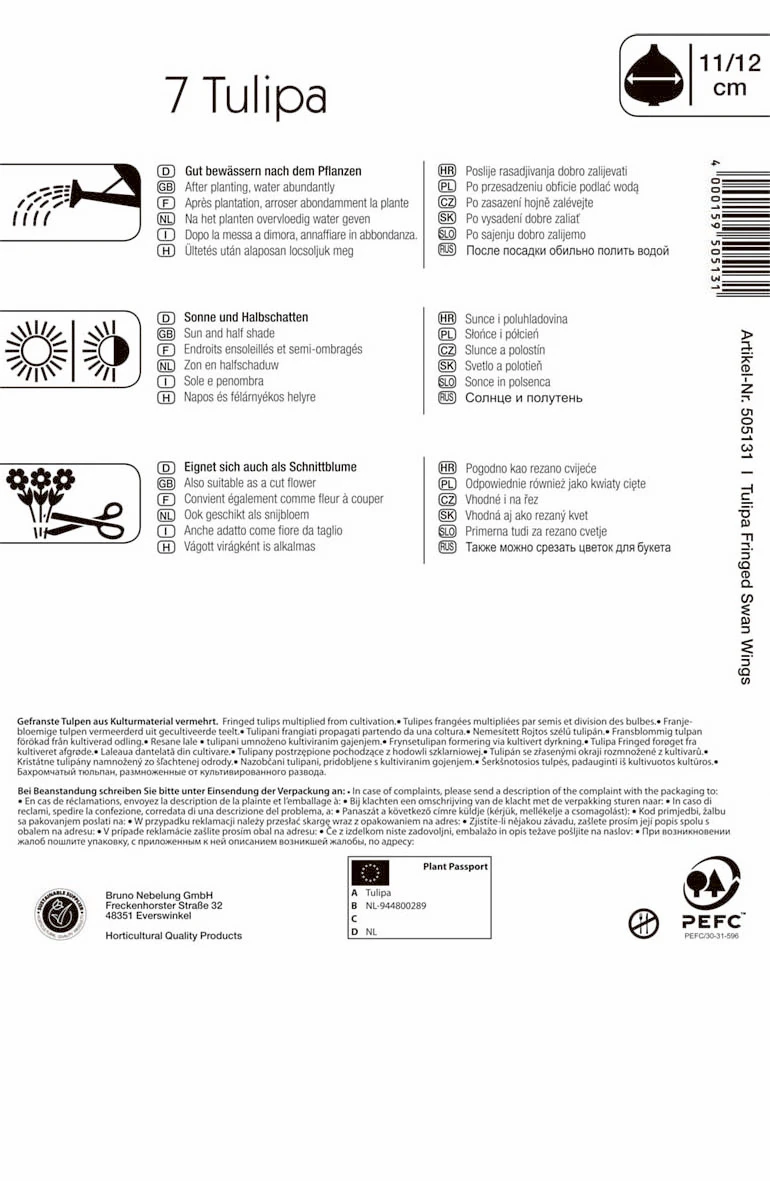 Gefranste Tulpe Swan Wings (7 Stück) | Tulpenzwiebeln Von Kiepenkerl