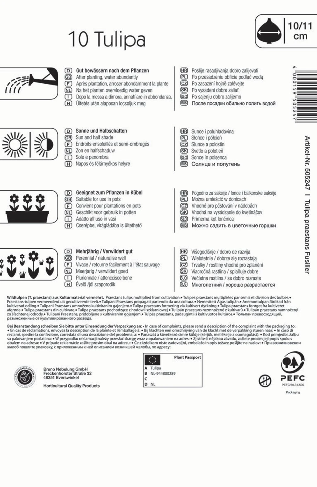 Wildtulpe Praestans Fusilier (10 Stück) | Tulpenzwiebeln Von Kiepenkerl – Bild 2