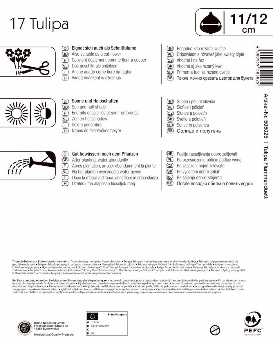 Mega-Pack Flammenduett Triumphtulpe (17 Stück) | Tulpenzwiebeln Von Kiepenkerl