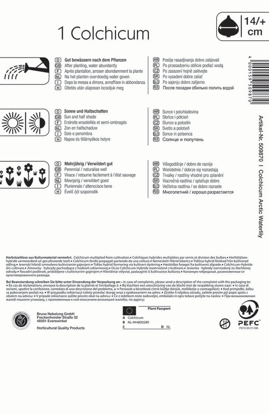 Herbstzeitlose Arctic Waterlily (1 Stück) | Herbstzeitlosen Von Kiepenkerl