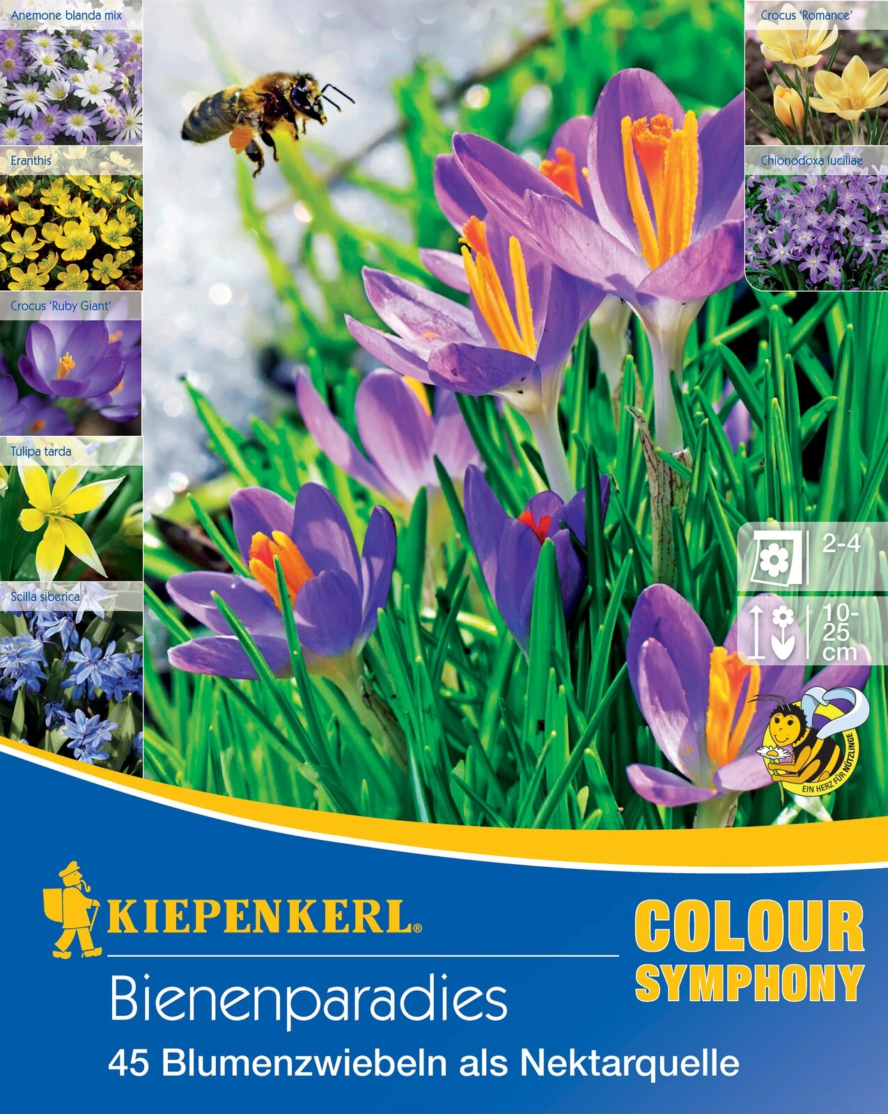Colour Symphony Bienenparadies (45 Stück) | Blumenzwiebelmischungen Von Kiepenkerl