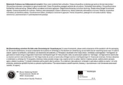 Botanische Krokus Mischung (60 Stück) | Krokuszwiebeln Von Pegasus