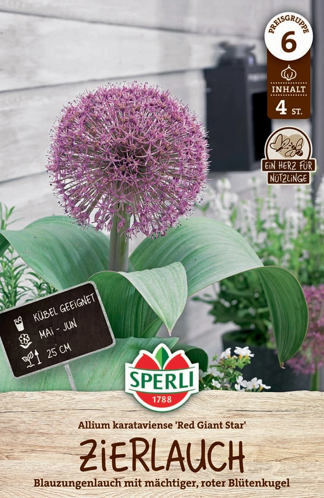 Zierlauch Red Giant Star (4 Stück) | Zierlauchzwiebeln Von Sperli – Bild 2