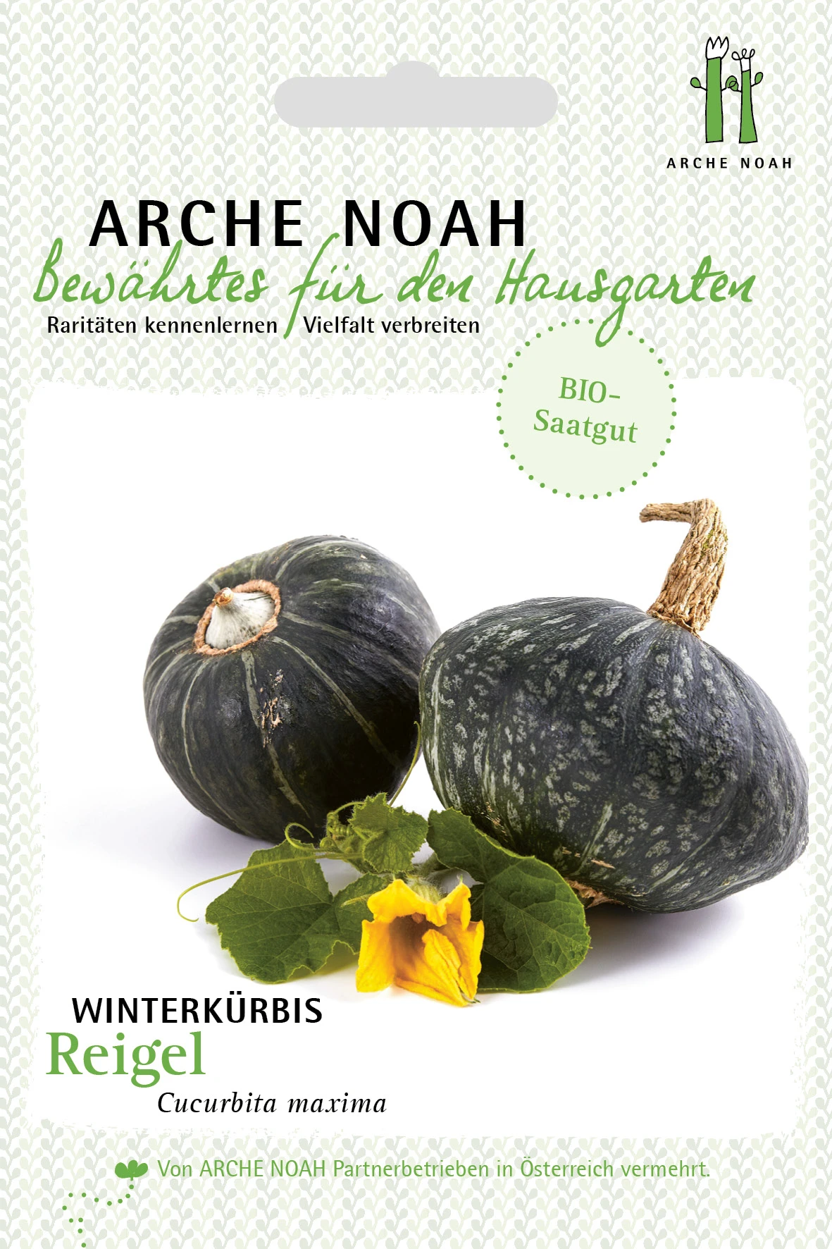 Winterkürbis Reigel | BIO Kürbissamen Von Arche Noah
